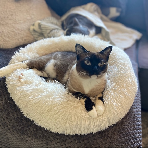 Meet your Posher, Teri - Picture 12 of 12